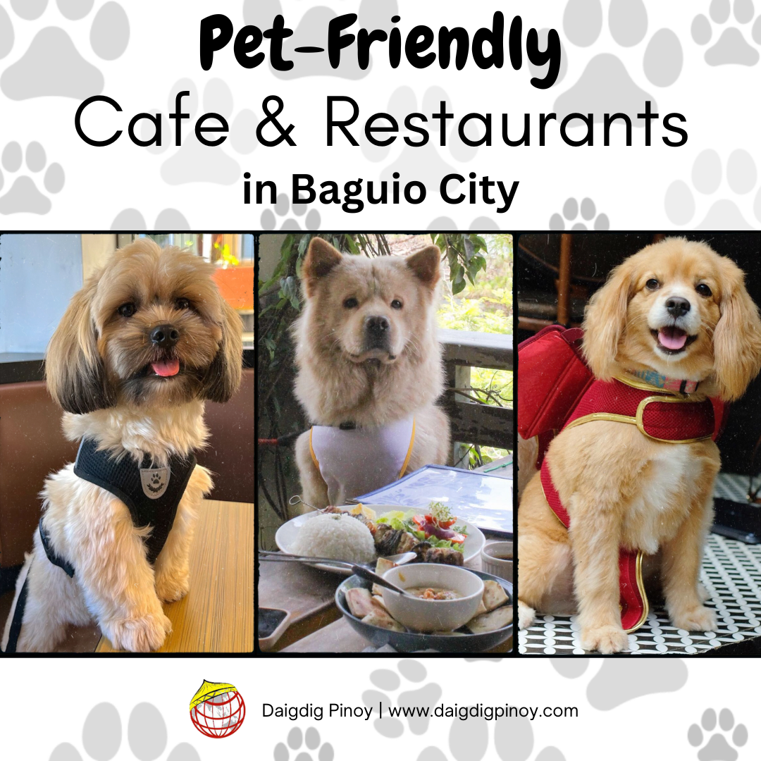 Pet-Friendly Cafe and Restaurants in Baguio City